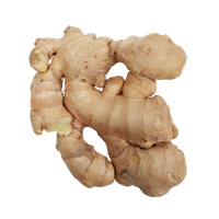 Ginger Transparent PNG Image