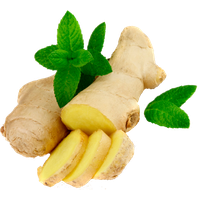 Ginger Transparent PNG Image