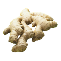 Ginger PNG