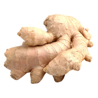 Ginger PNG