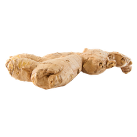 Ginger PNG