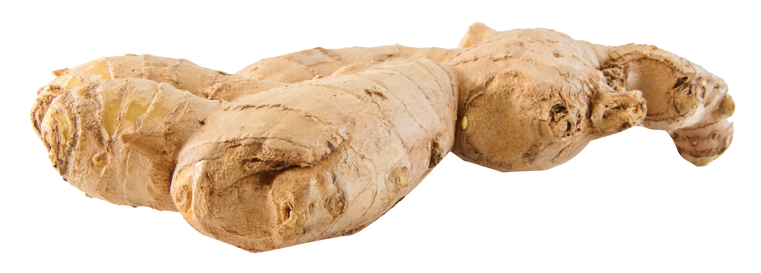 Ginger Transparent PNG Image