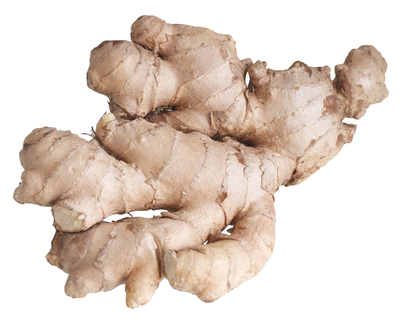 Ginger Transparent PNG Image