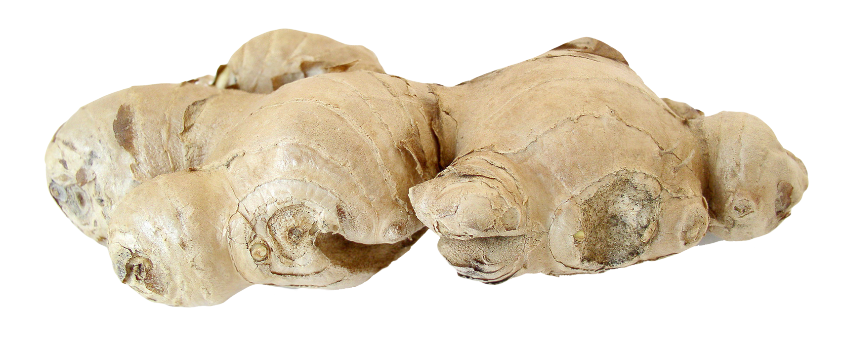 Ginger Transparent PNG Image