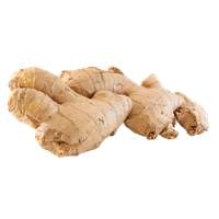 Ginger PNG