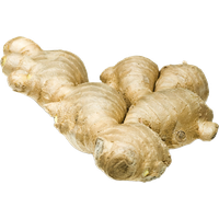Ginger PNG