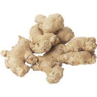 Ginger Transparent PNG Image