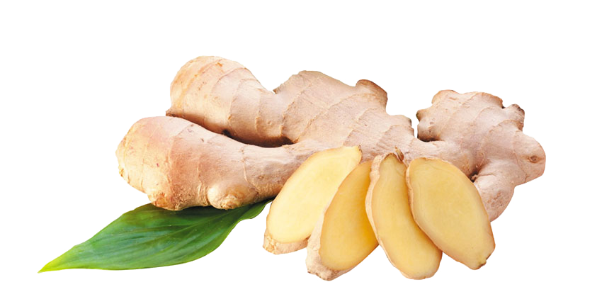 Ginger Transparent PNG Image