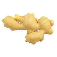 Ginger Transparent PNG Image