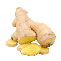 Ginger Transparent PNG Image
