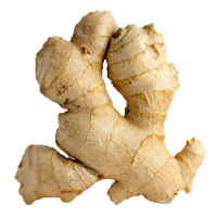 Ginger Transparent PNG Image