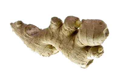 Ginger Transparent PNG Image