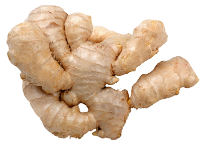 Ginger Transparent PNG Image