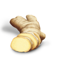 Ginger Transparent PNG Image