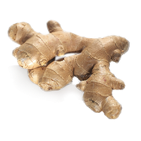 Ginger Transparent PNG Image