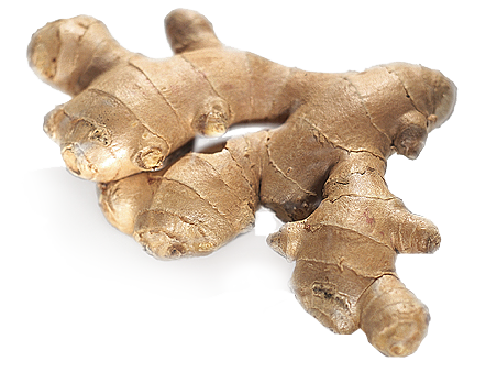Ginger Transparent PNG Image