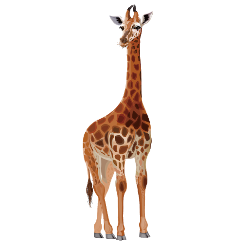 giraffe front png