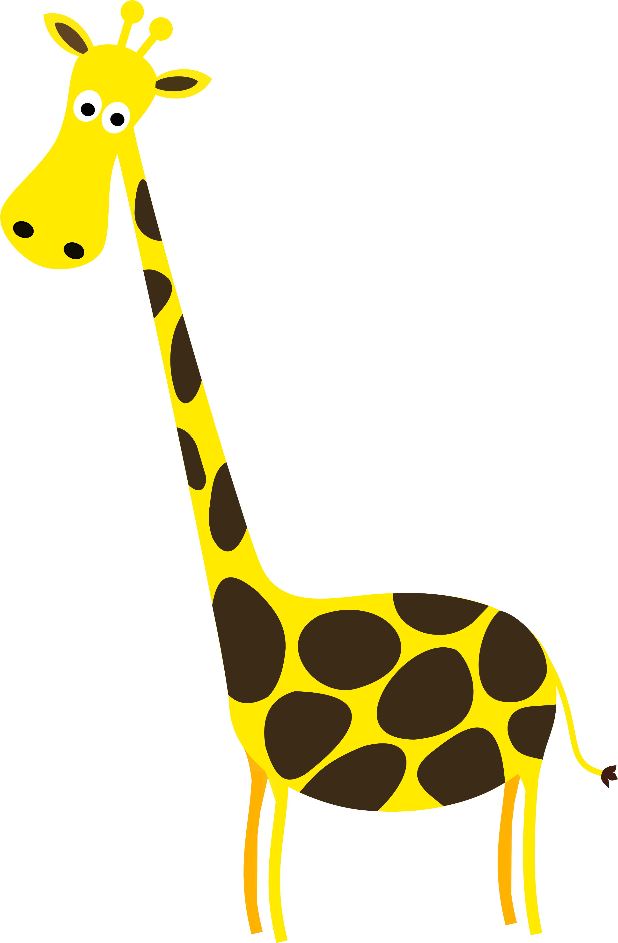 Photos Giraffe Vector Free Transparent Image HQ PNG Image