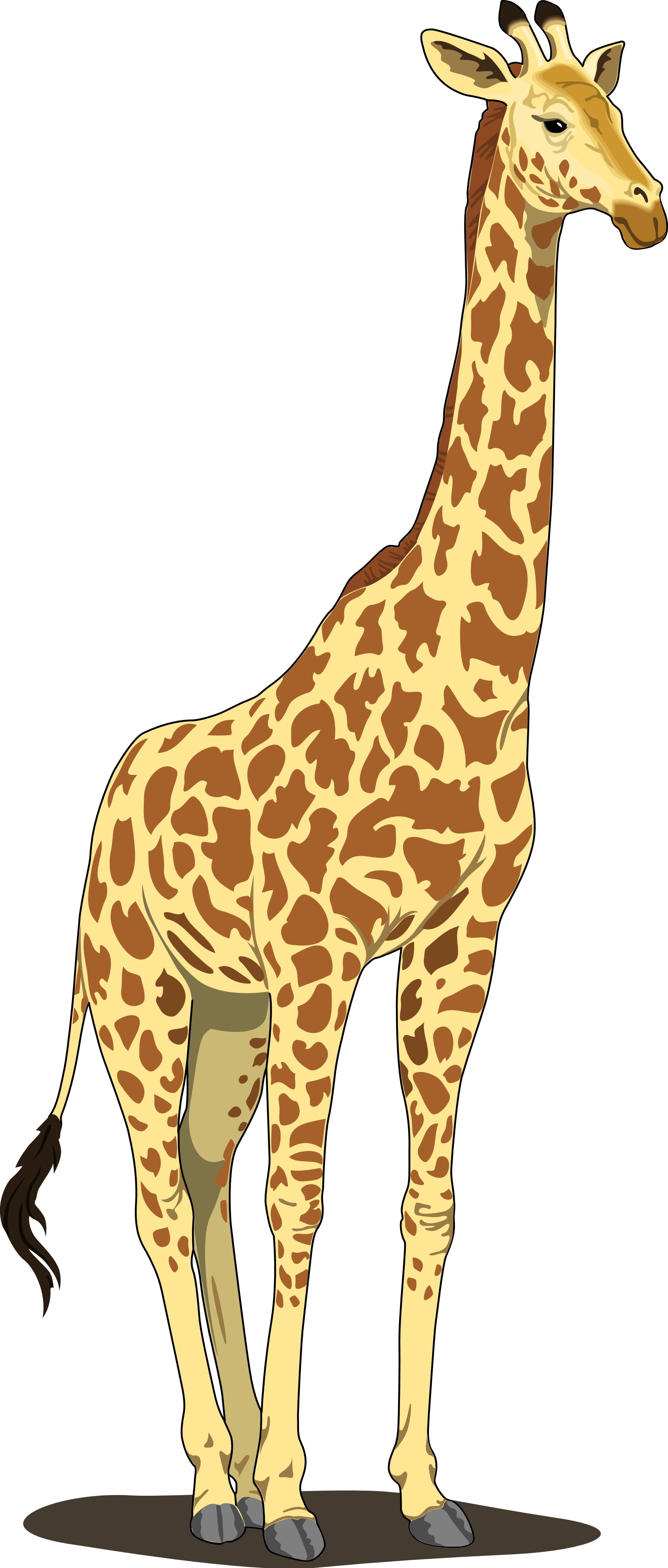 Giraffe Vector Download HQ PNG Image