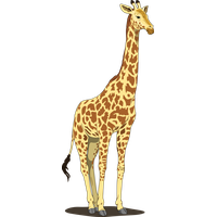 Small Giraffe Vector HD Image Free PNG Image