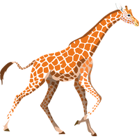 Giraffe Vector Free Download PNG HQ PNG Image