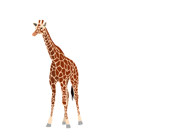Giraffe Vector Free Download Image PNG Image