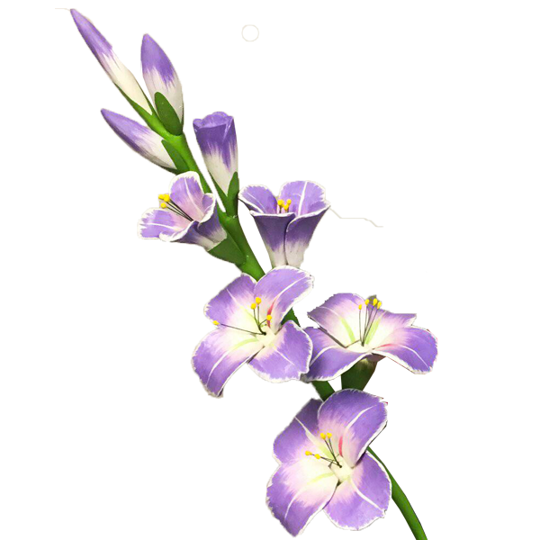 Gladiolus Transparent Picture PNG Image