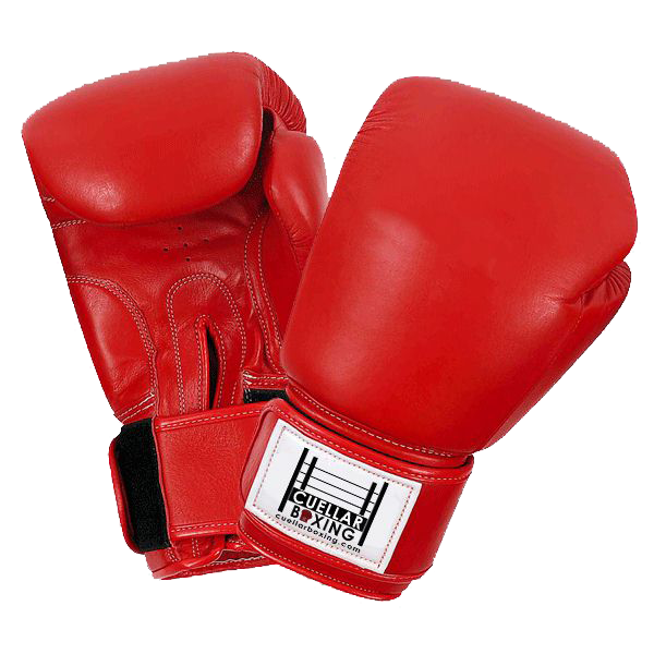 Download Boxing Gloves Transparent HQ PNG Image FreePNGImg