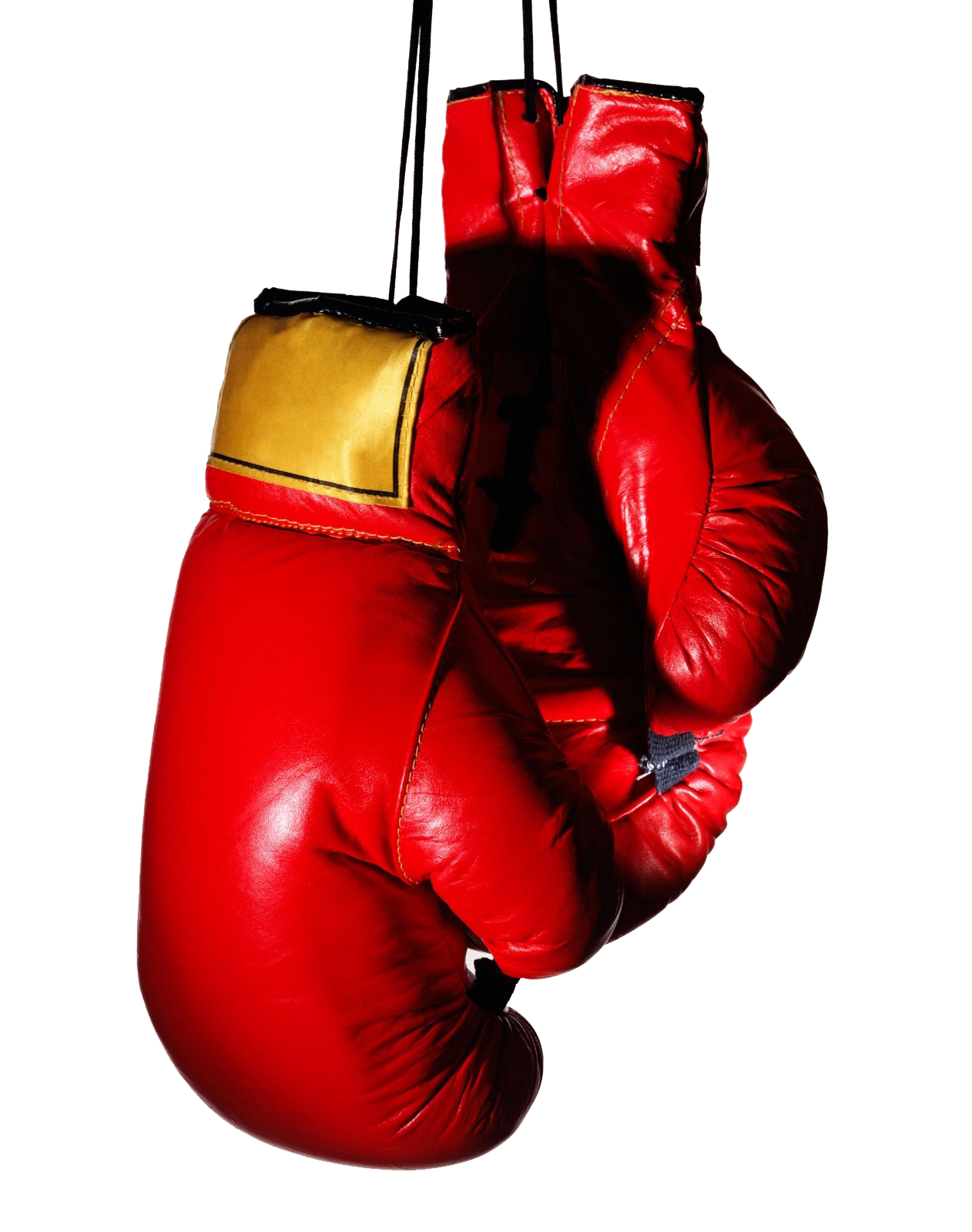 Boxing Gloves Transparent Image PNG Image