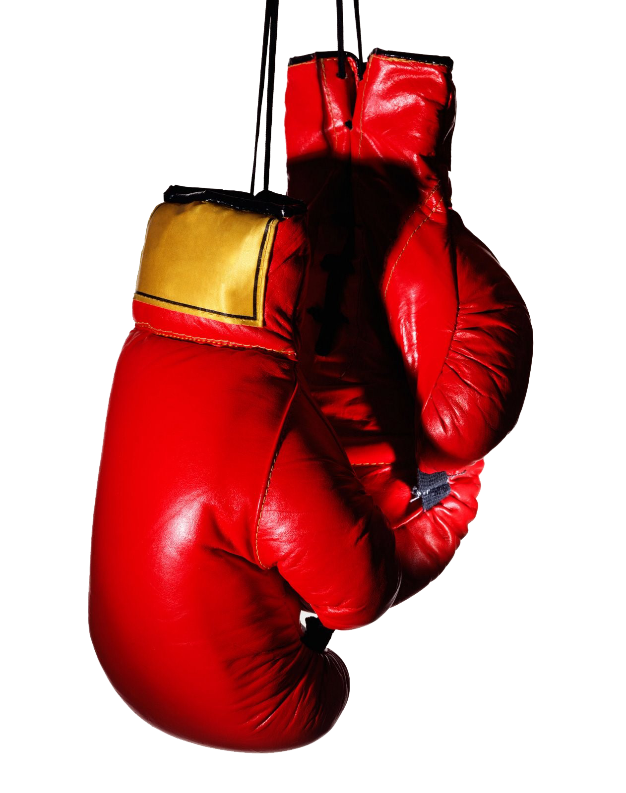 Boxing Gloves PNG Clip Art Best WEB Clipart | vlr.eng.br