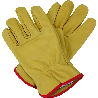 Gloves Png Image PNG Image