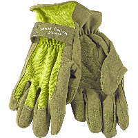 Gloves Png Image PNG Image