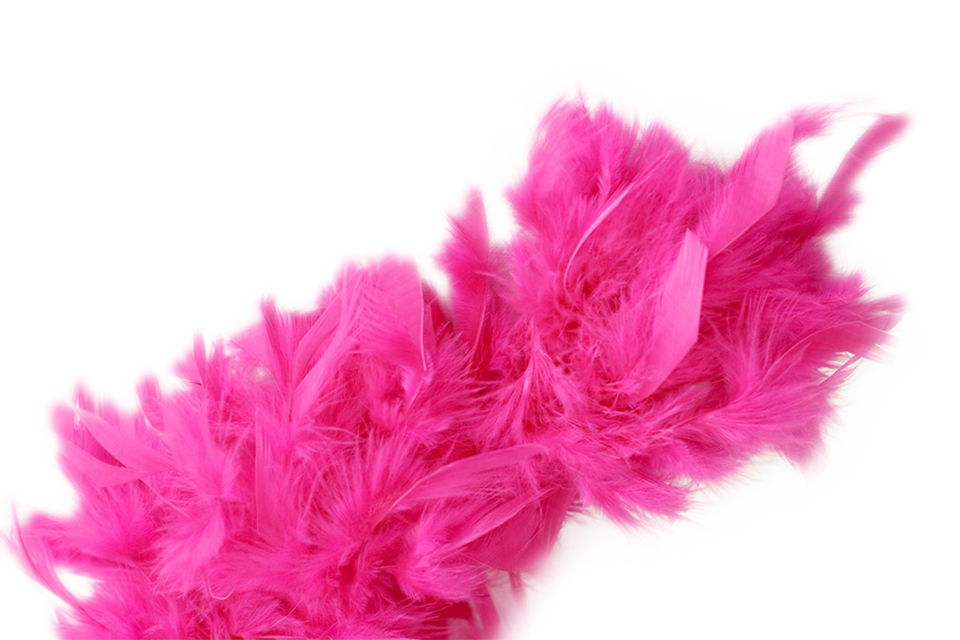 Boa Feather Header Free Frame PNG Image
