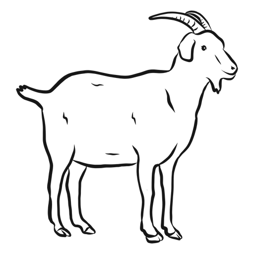 Vector Drawing Goat Free PNG HQ PNG Image