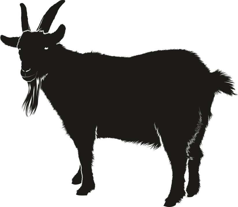 Vector Black Goat Free Clipart HD PNG Image