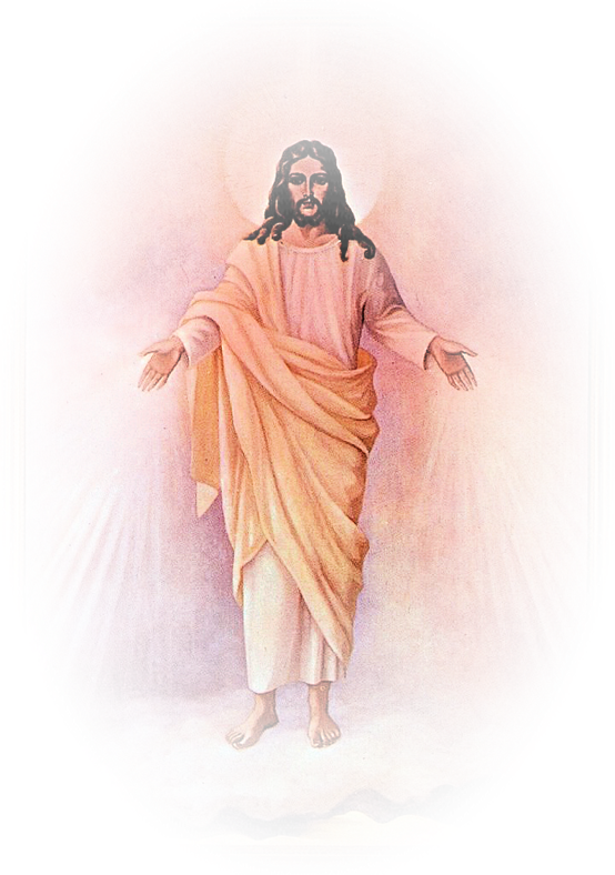 Mercy Christ Heart Jesus Sacred Divine PNG Image