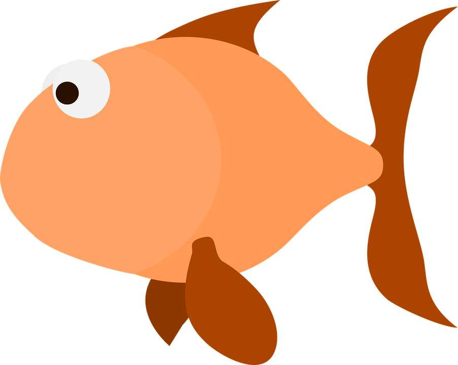 Goldfish Transparent PNG Image