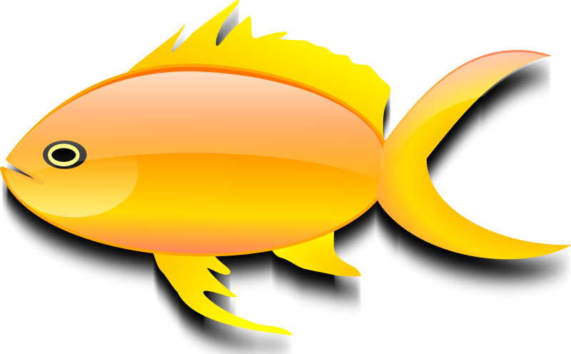 Goldfish Transparent PNG Image