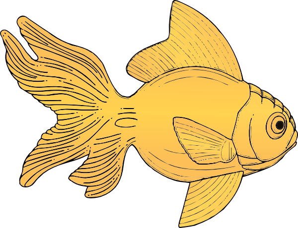 Goldfish Transparent PNG Image