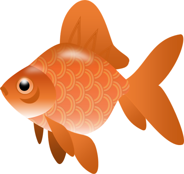 Goldfish Transparent PNG Image