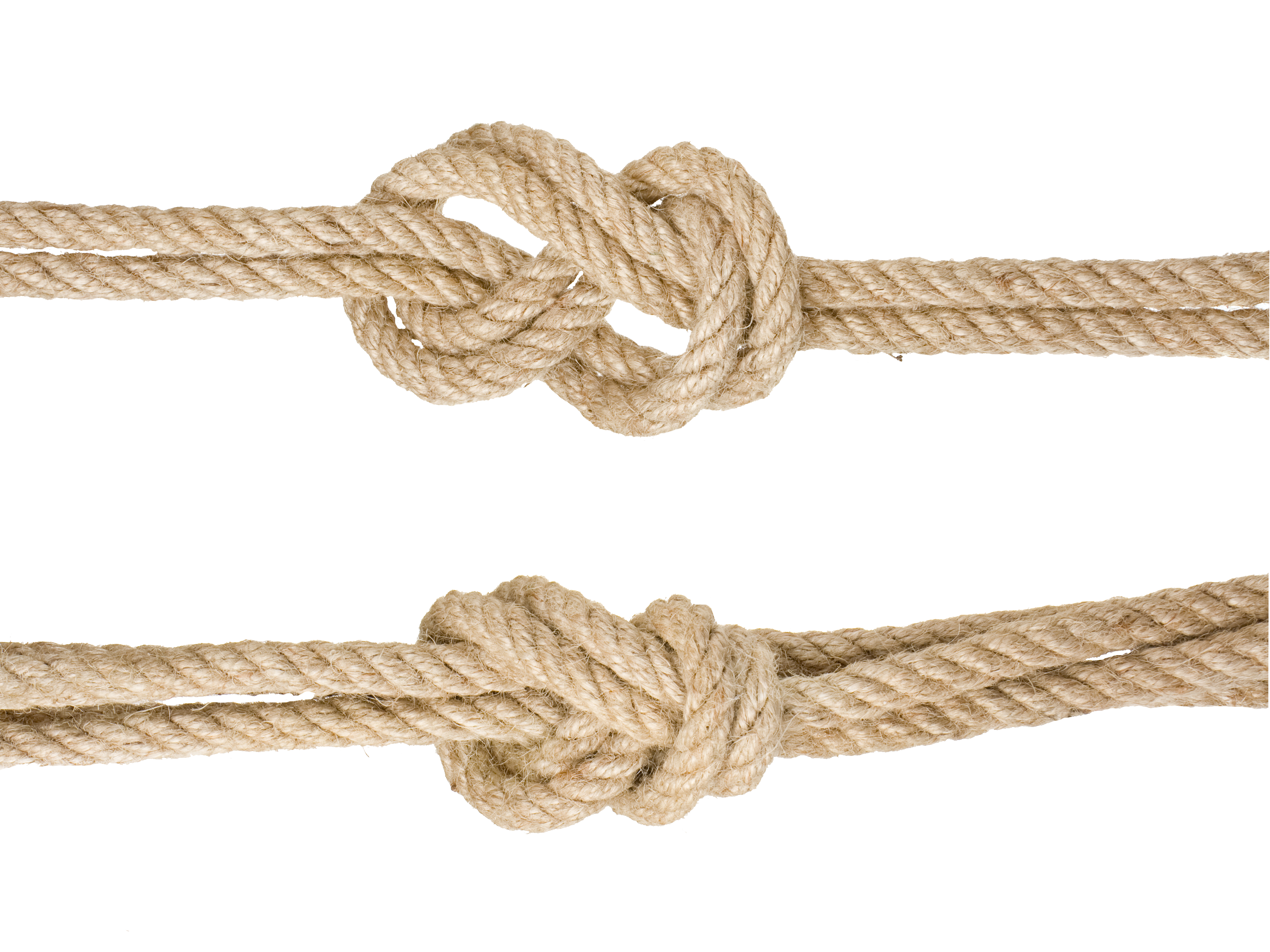 Google Knotted Rope Knot Images Hemp PNG Image