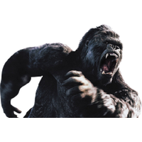 Download Gorilla Free PNG photo images and clipart | FreePNGImg