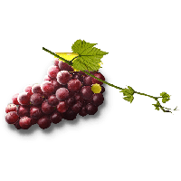 Grape Png Image Download Picture PNG Image