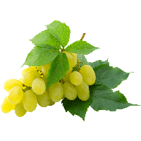 Grape Png Image PNG Image