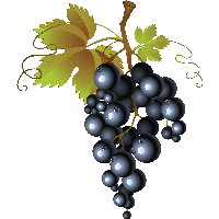 Grape Png Image PNG Image