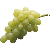 Green Grape Png Image PNG Image