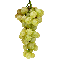 Green Grape Png Image PNG Image