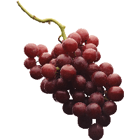 Grape Png Image PNG Image