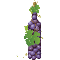 Grape Png Image Transparent PNG Image