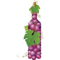 Red Grape Png Image Transparent PNG Image